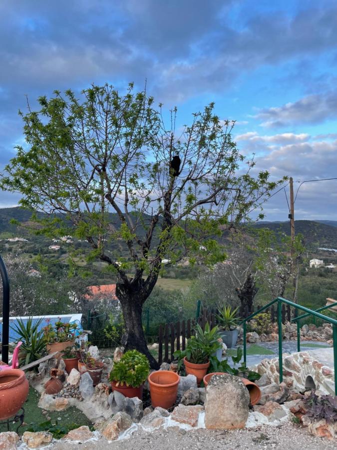Monte Carrascal Guesthouse Salir Dış mekan fotoğraf